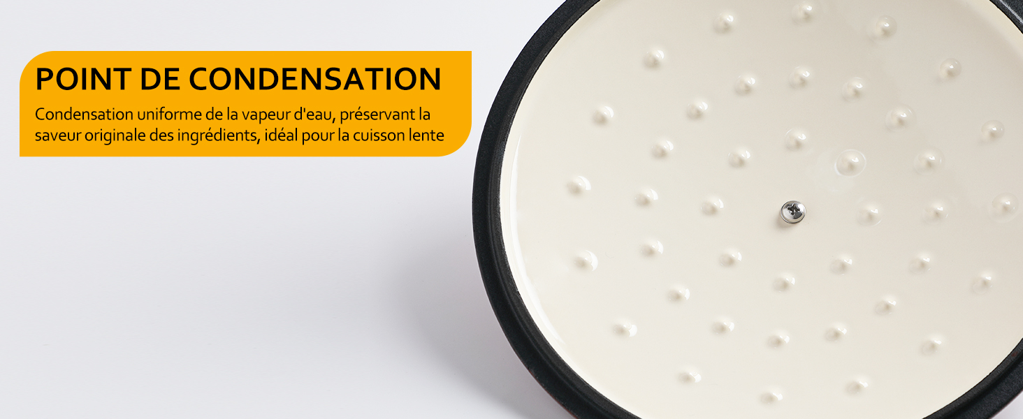 Cocotte en Fonte