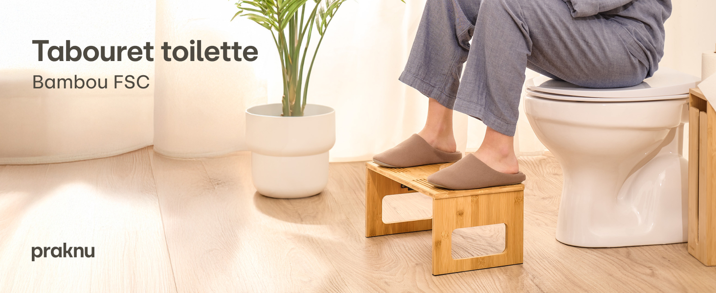toilet stool