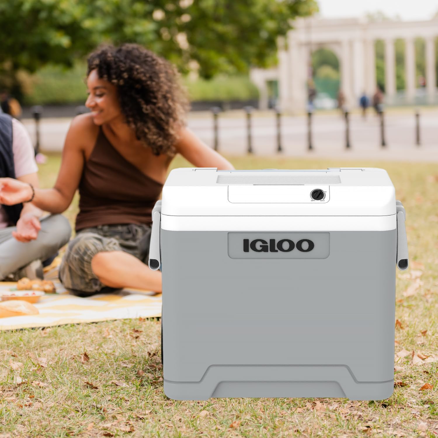 IGLOO - Glacière électrique portative - grande capacité, prise 12V