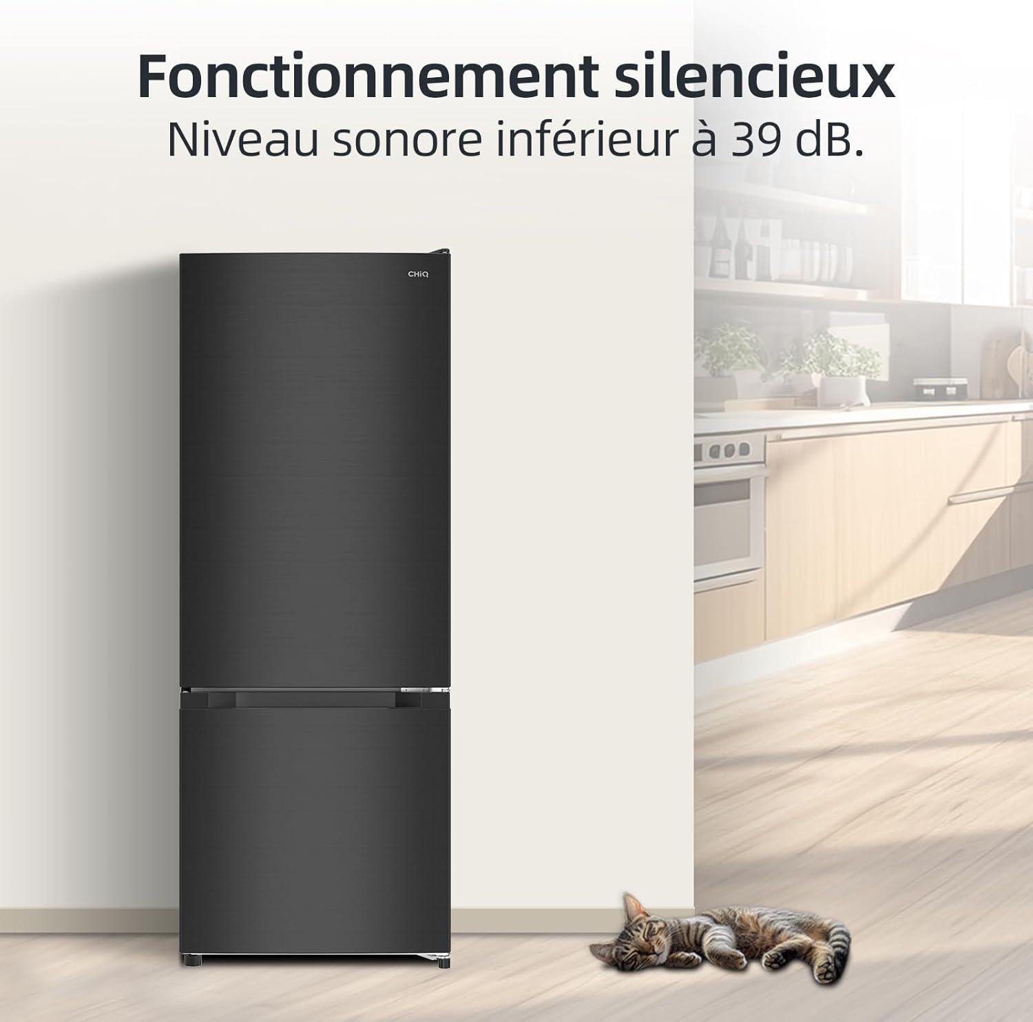 CHIQ - FBM205L42 - 205L, acier noir, 39dB, faible givre, portes réversibles