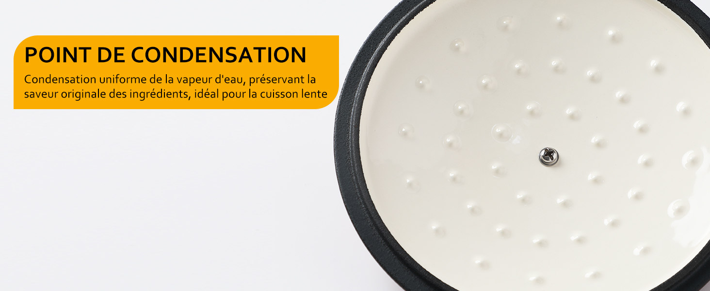Cocotte en Fonte