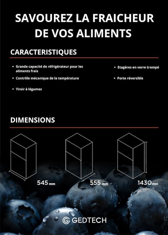 GEDTECH - réfrigérateur congélateur  217L, classe E