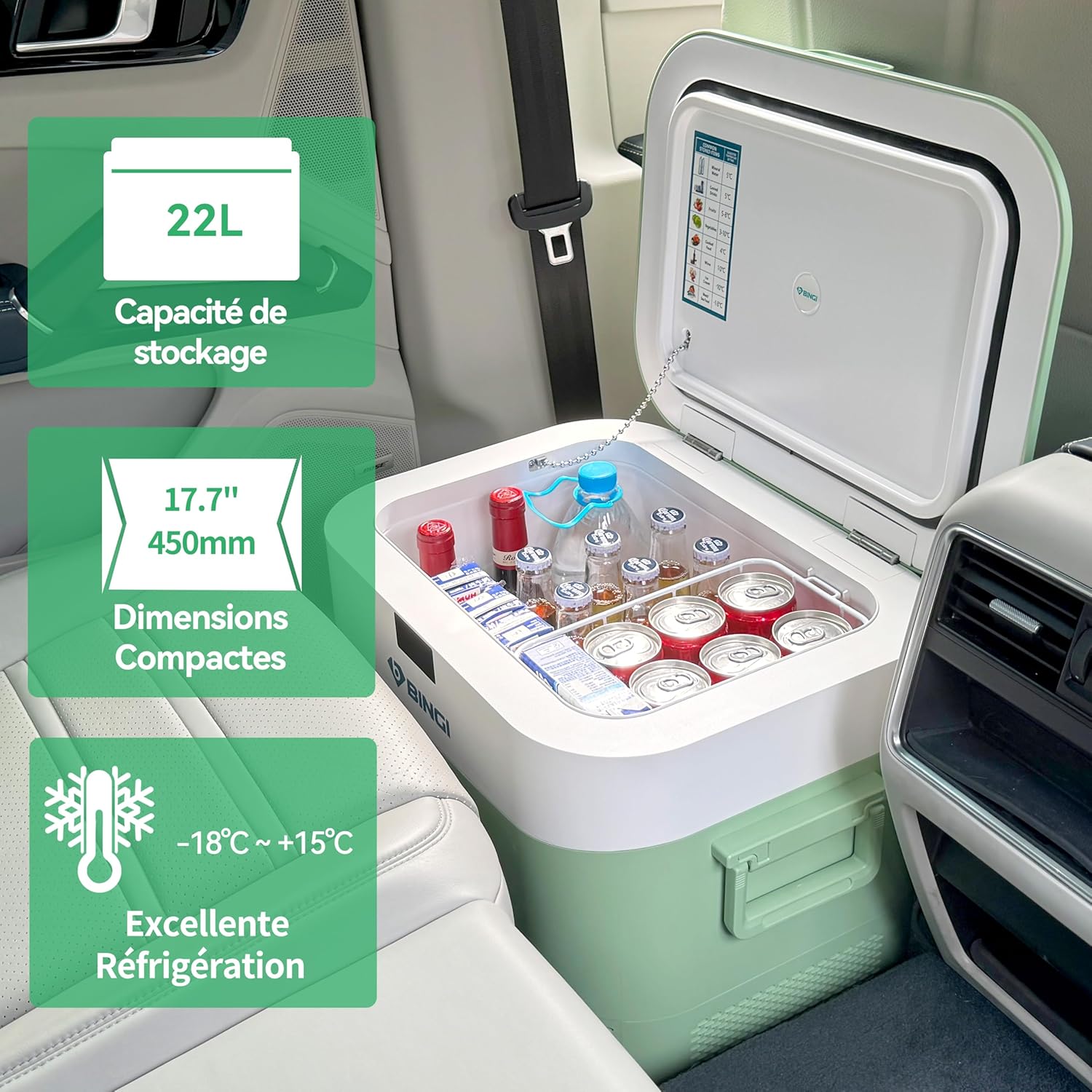 BINGI - glacière électrique 22L - compression, -18°C, 12V/24V/220V