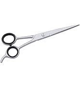 SS INSTRUMENTX Ciseaux de coiffure professionnels en acier inoxydable pour homme et femme