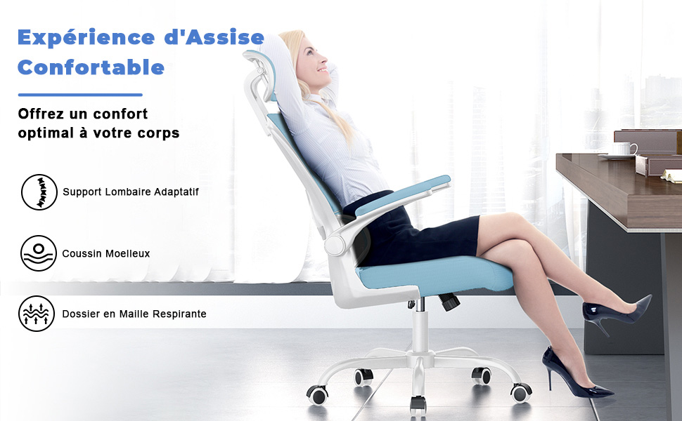 Chaise de Bureau