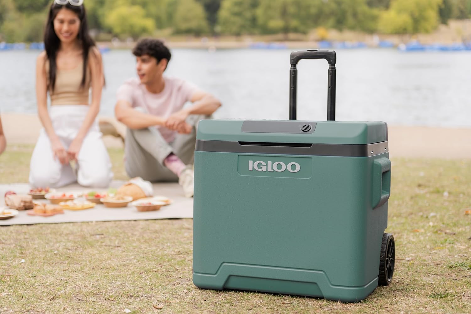 Igloo - Glacière électrique - grande capacité, portative, refroidissement rapide