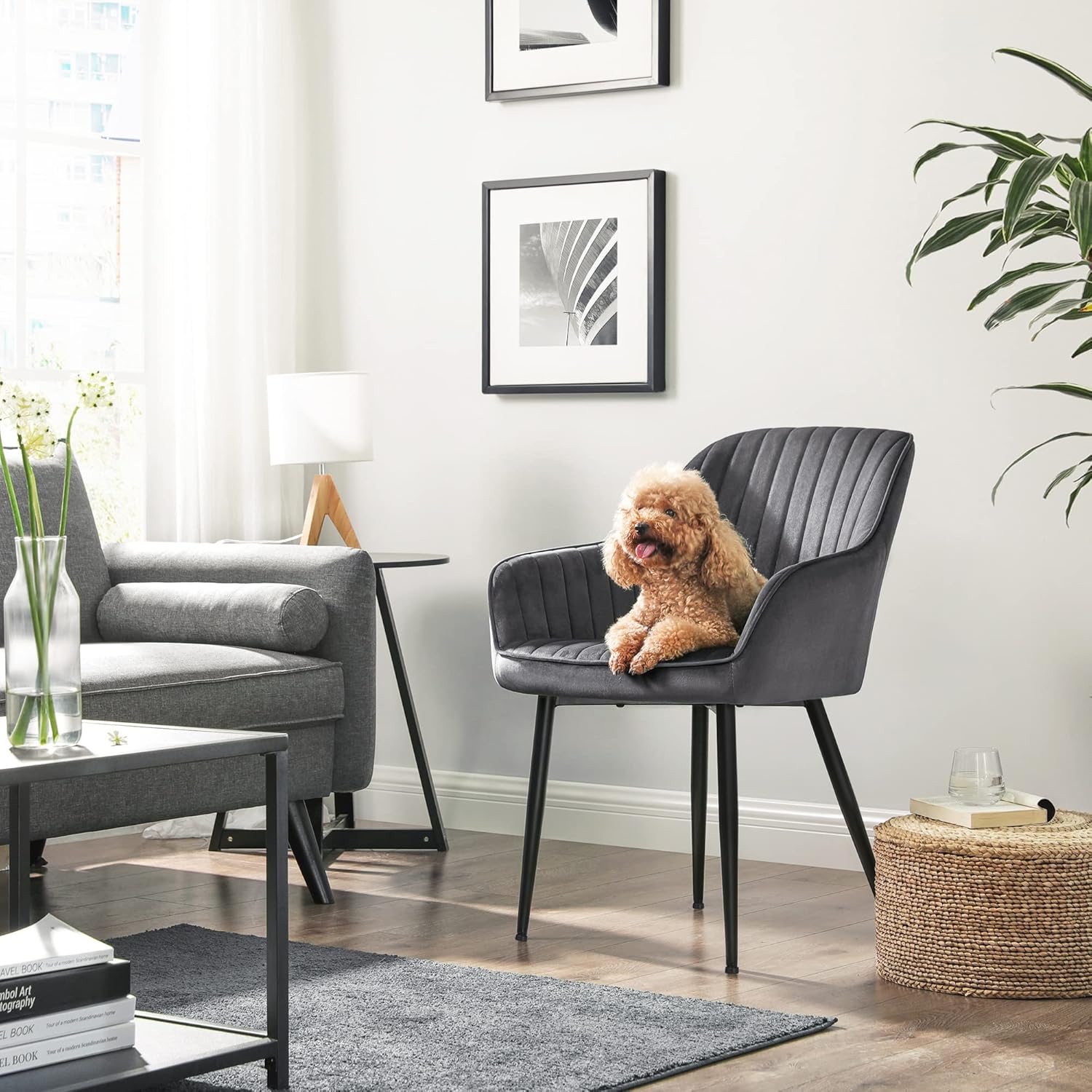 SONGMICS - chaise salle à manger velours, accoudoirs, 120kg, LDC087G02