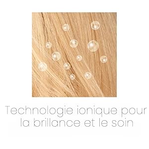 Technologie ionique
