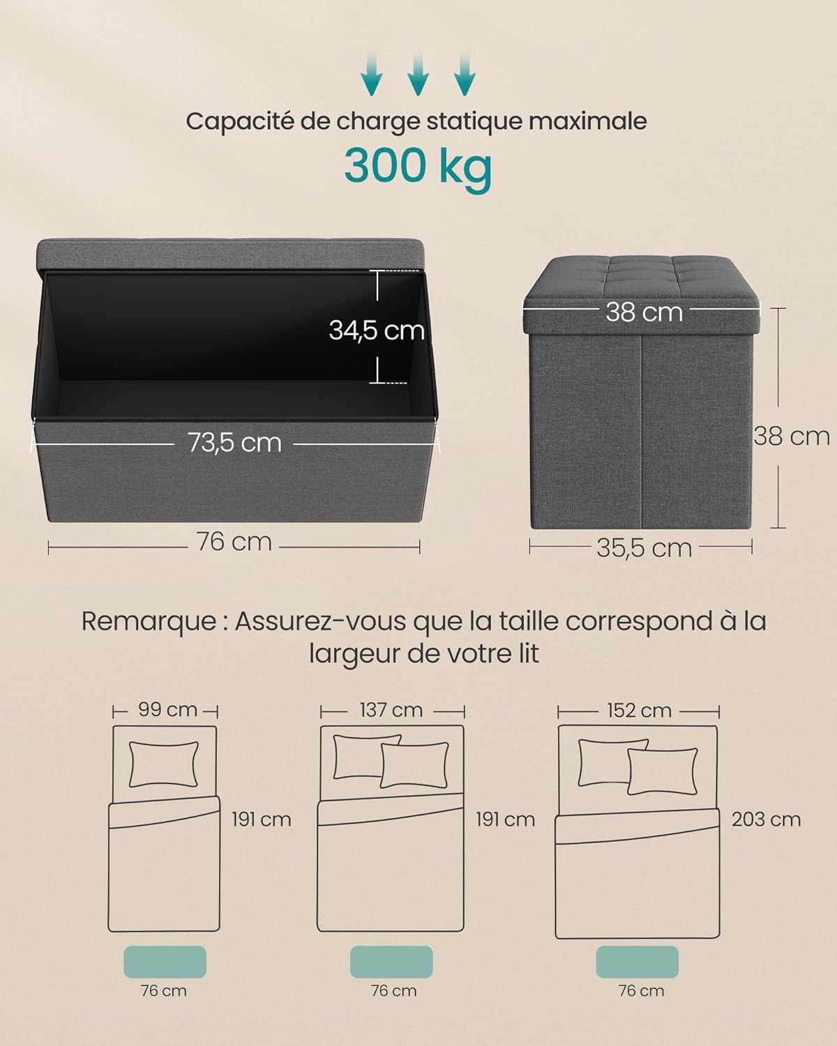 SONGMICS - banc de rangement pliable - 38x76x38 cm - coffre solide 300kg, gris foncé LSF47K
