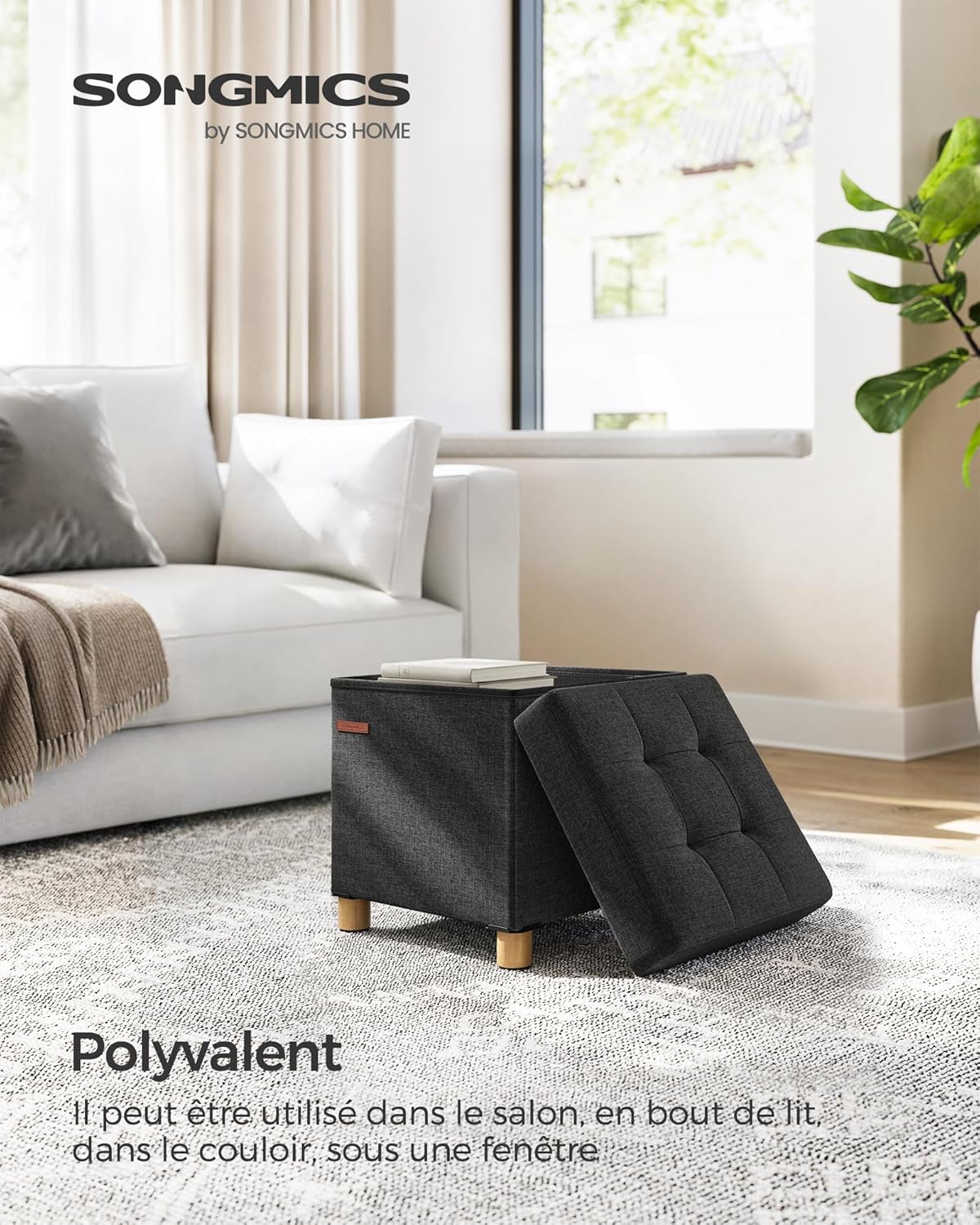 SONGMICS - Tabouret de rangement pliable 38x38x40cm, 300kg, noir, LSF014B11