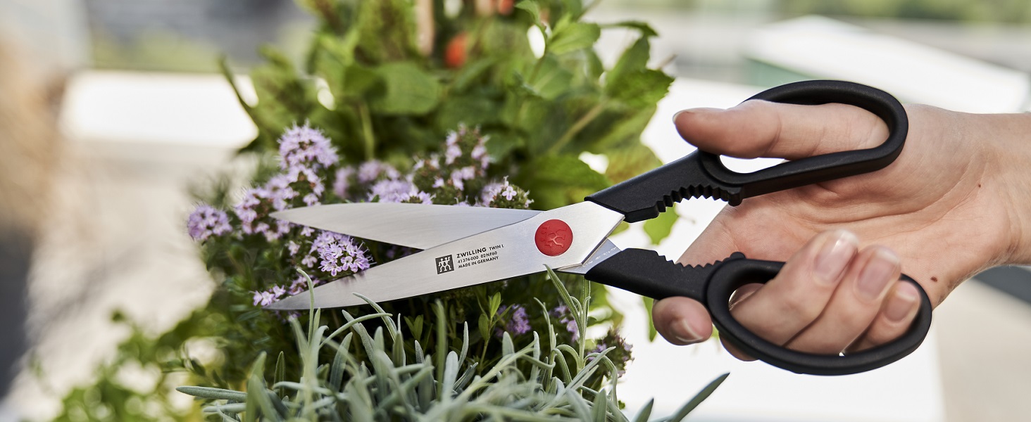 ZWILLING