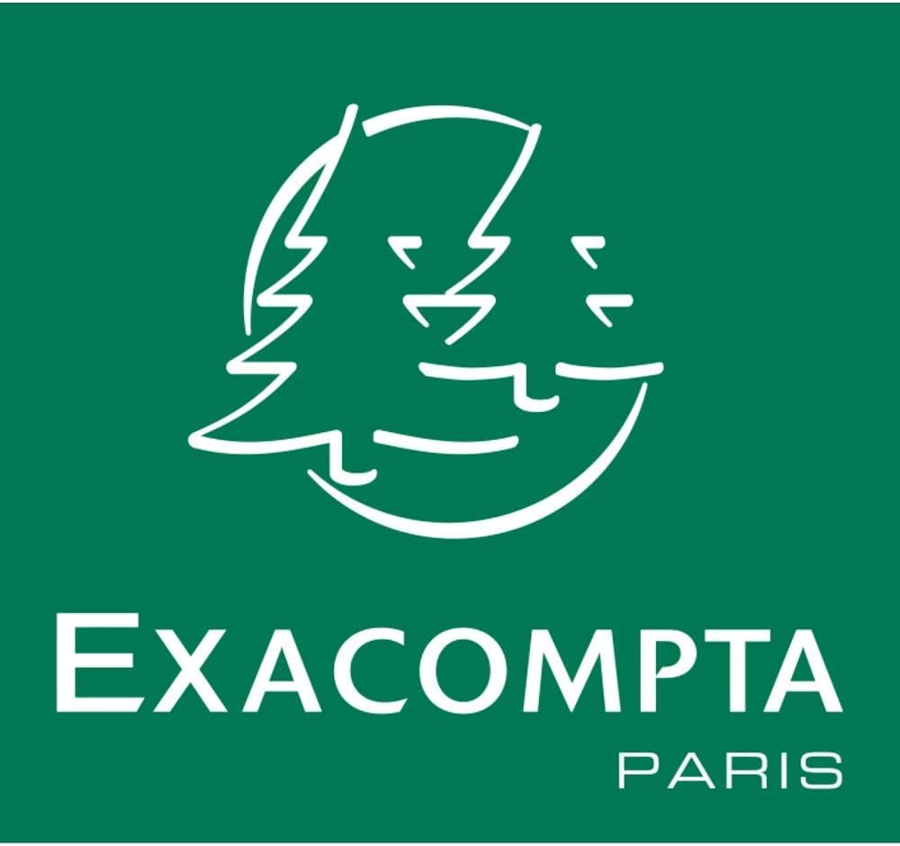 Exacompta - corbeilles à papier ECOBIN 15L - poignées, gris, 26,3x26,3x33,5 cm - 45307D