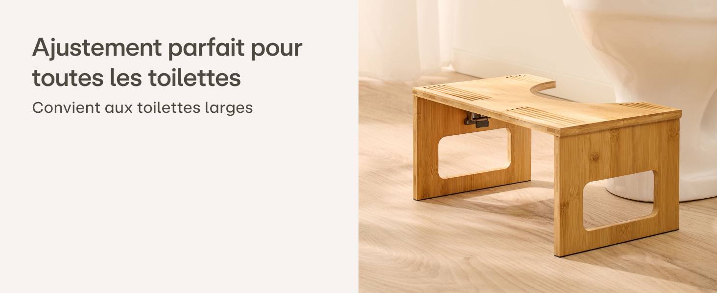 toilet stool
