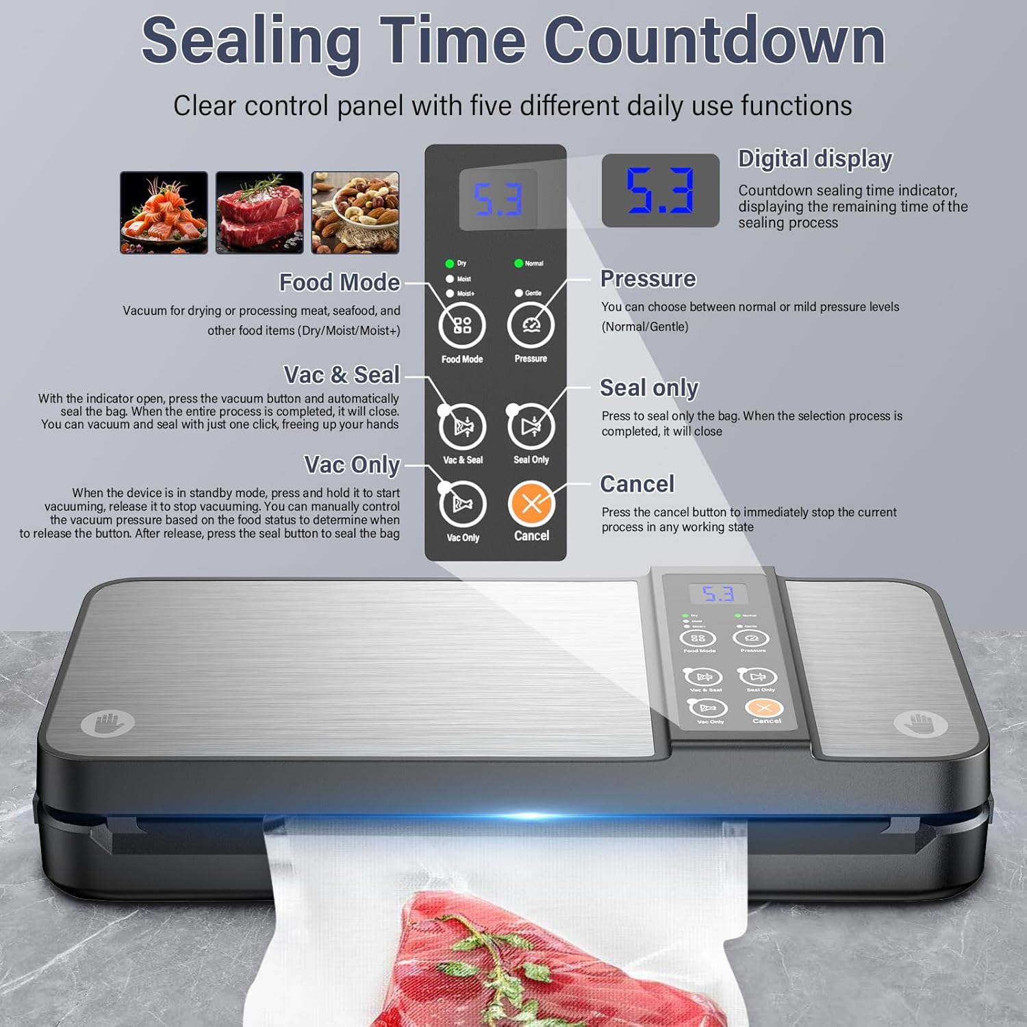 Machine sous vide alimentaire - 8-en-1, coupeur intégré - 80KPA, 10 sacs, argenté